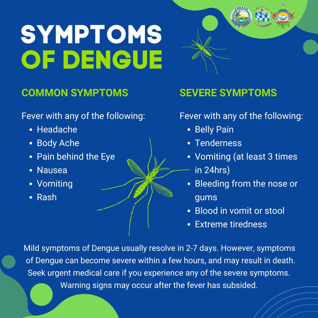 Tobago Records First Dengue Case for 2024 – Tobago House of Assembly